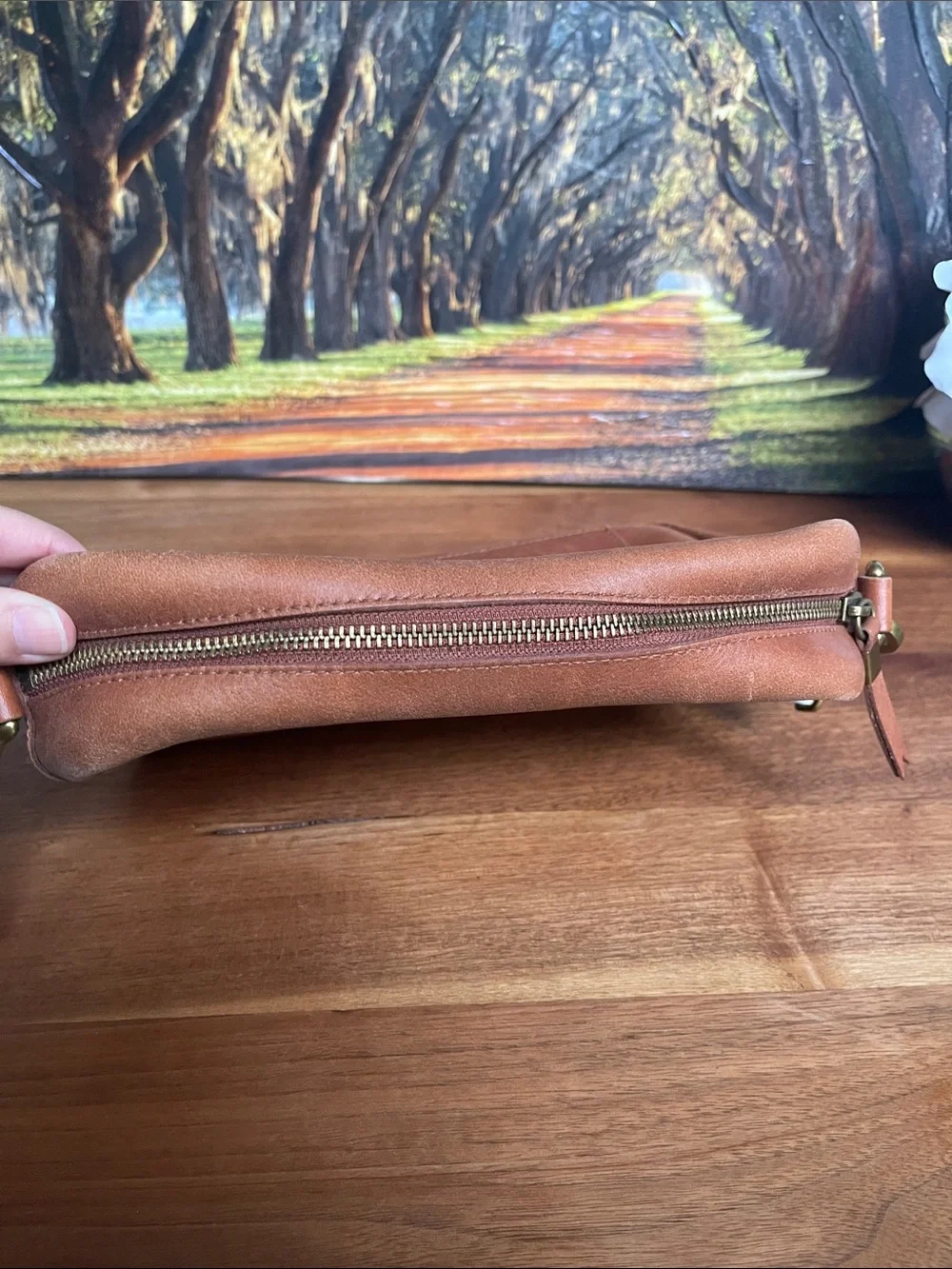 Madewell cow Leather Messenger Bag with canvas Adjustable Strap